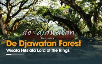 De Djawatan Banyuwangi – Wisata Hits ala Lord of the Rings