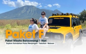 Paket F | Menjangan-Tabuhan-Baluran | Privat Trip 1 Hari